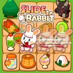 Play Slide Rabbit Fast Paced Maze Navigation and Food Collection Puzzle online free
